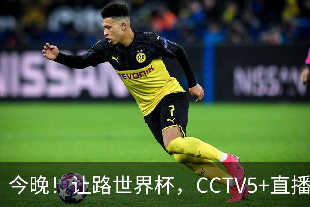 今晚！让路世界杯，CCTV5+直播中国女排VS法国，小将领衔冲击5连胜